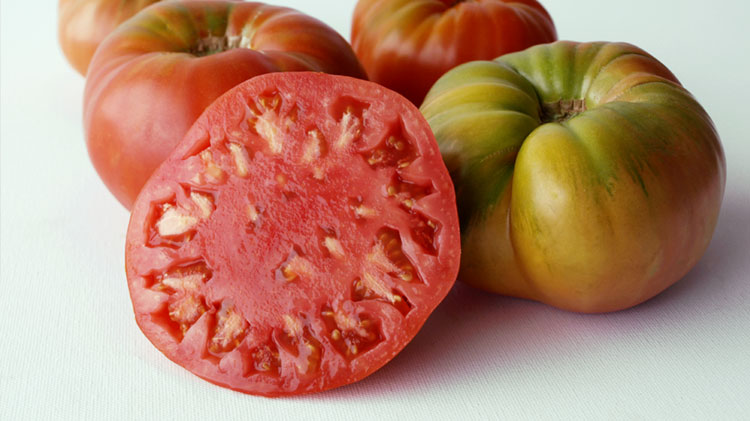 tomate de patones